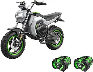 Electric mini bike conversion online