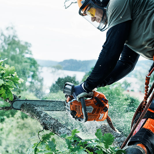 Chainsaw Safety